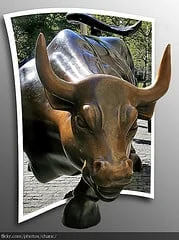 Charging Bull