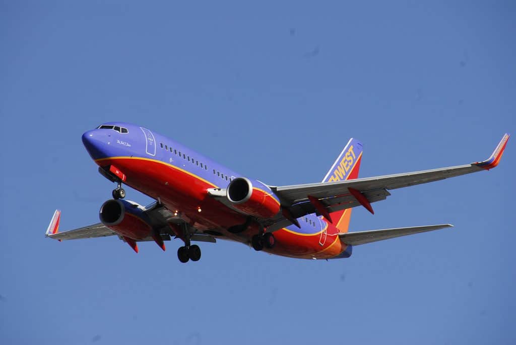 Cash Back Or Frequent Flyer Miles Credit Card 