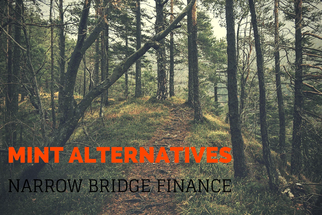 Mint Alternatives