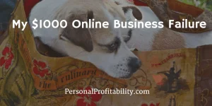My $1000 Online Business Failure – The Reusable Bag Store - PersonalProfitability.com