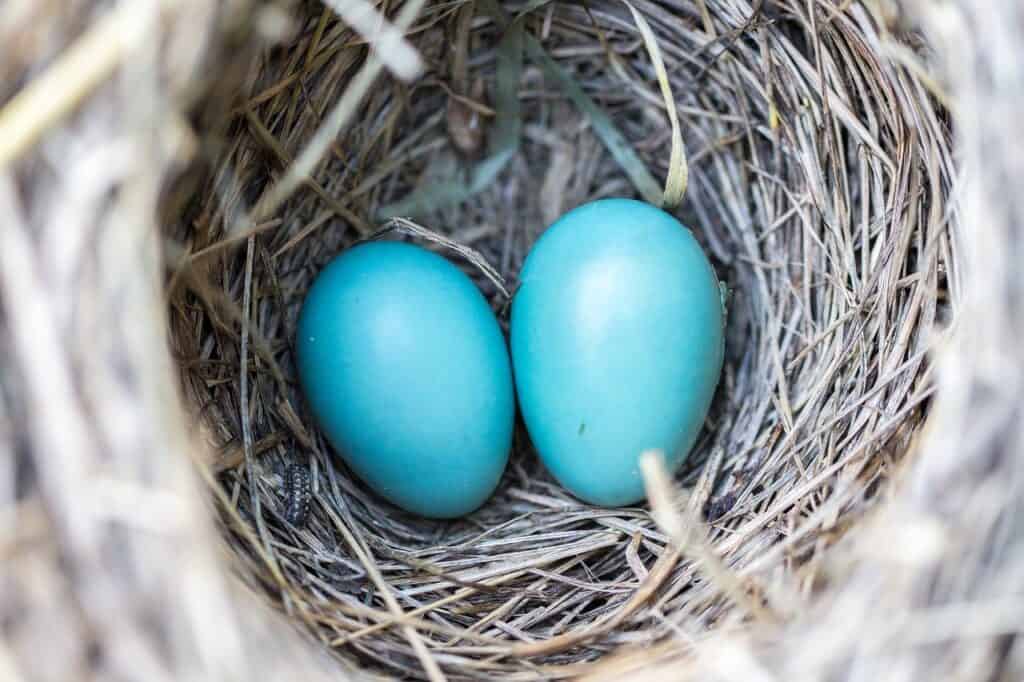 nest egg for retirement
